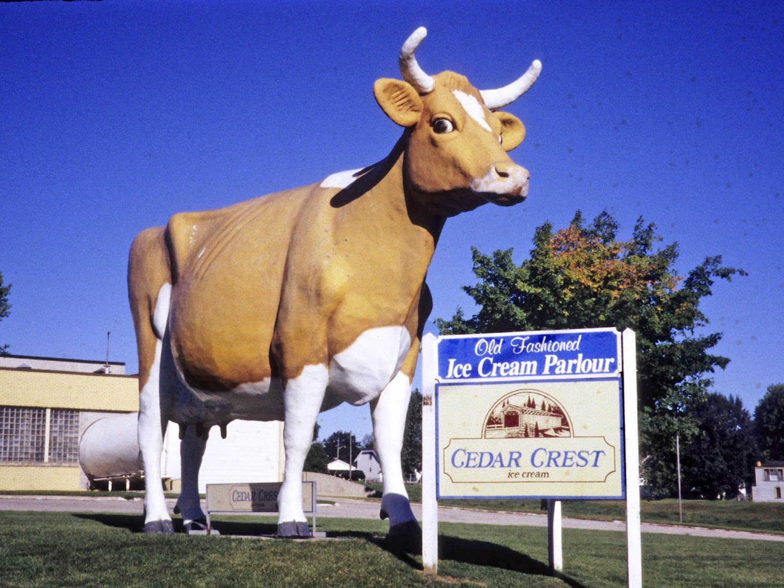 Geographically Yours: 2017