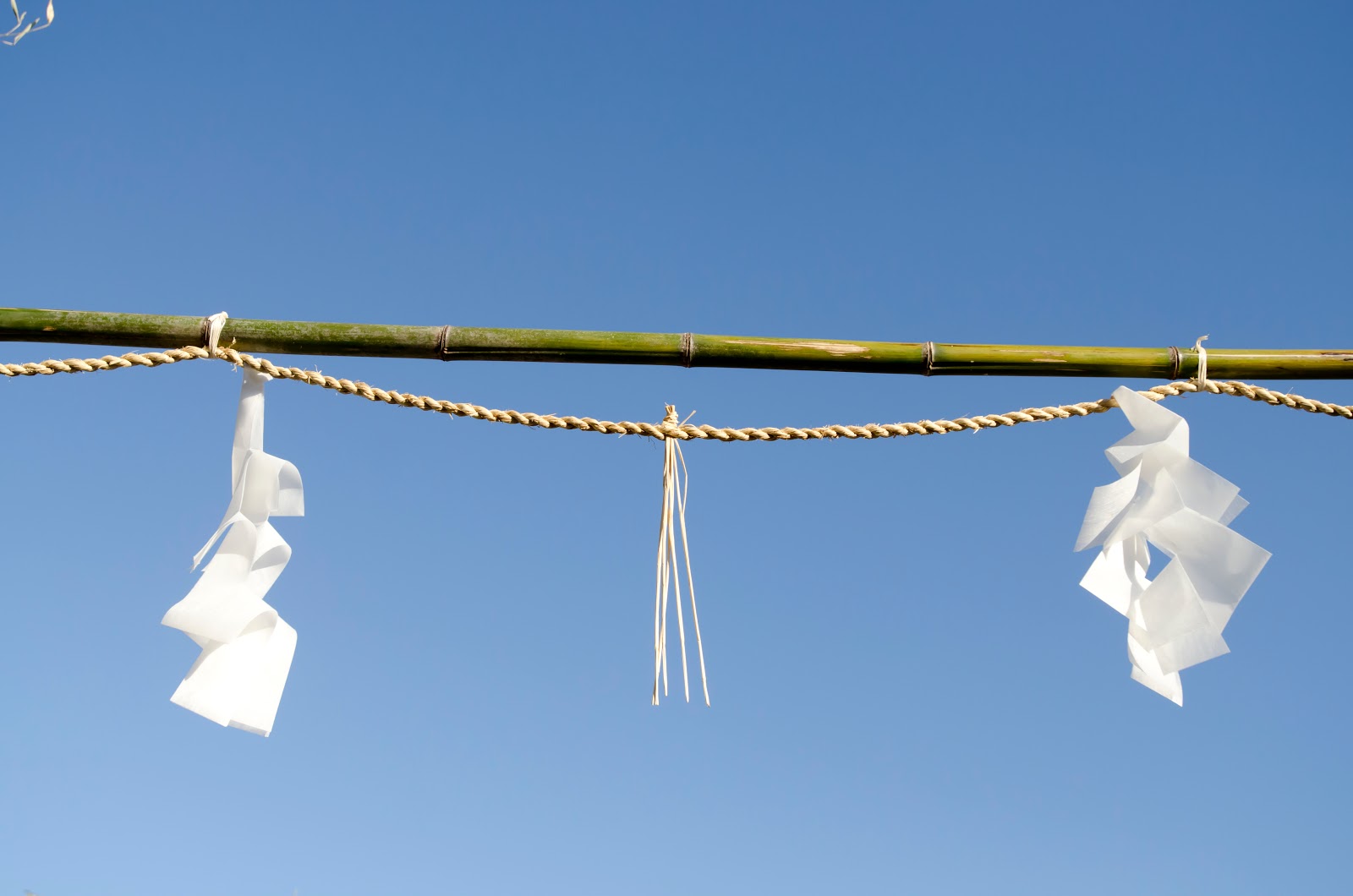 Shintoism beliefs picture