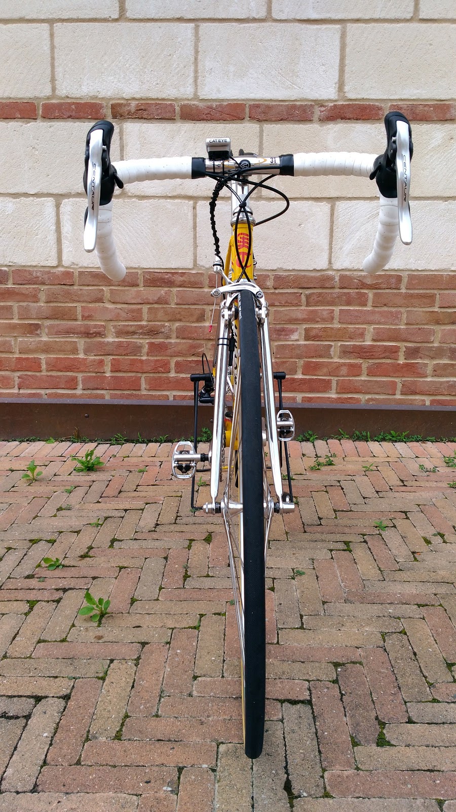 CycleItalia CAMPAGNOLO CENTAUR 11