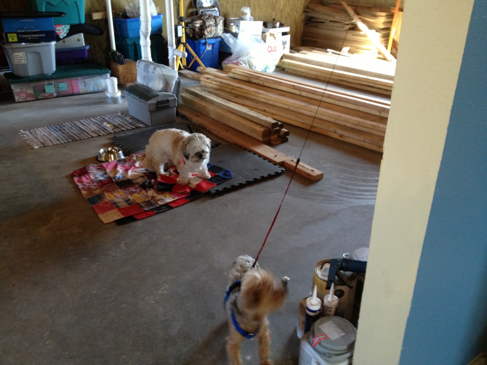 Sweet Someday DIY Pallet Dog Gate