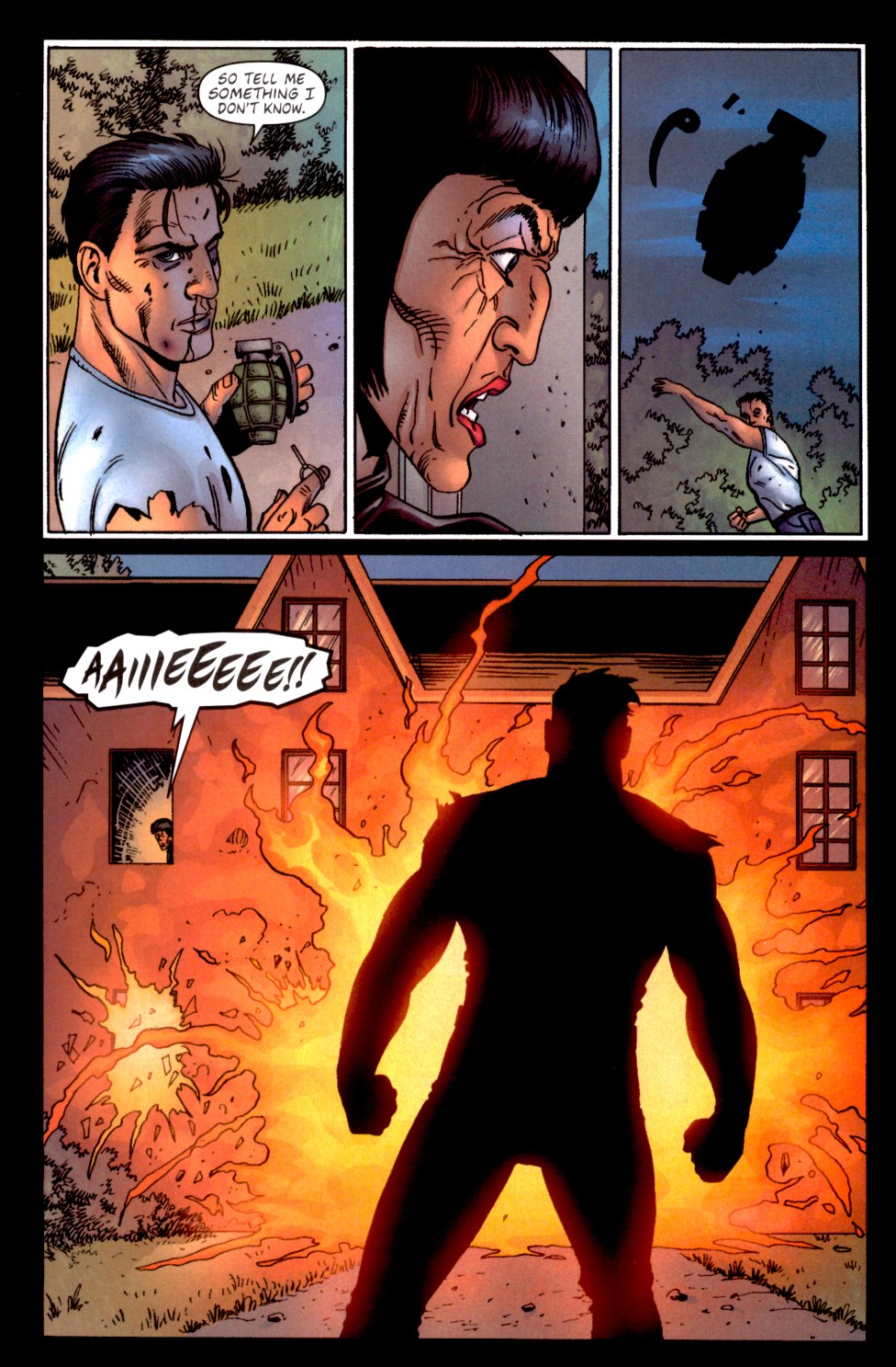 The Punisher (2000) Issue #12 #12 - English 5