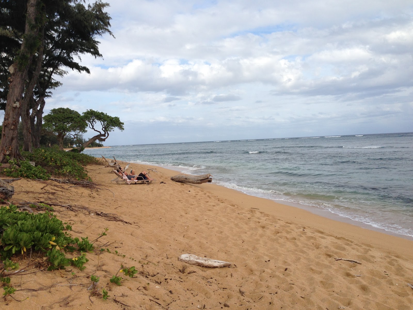 GREAT EATS HAWAII IMAGES OF THE COCONUT COAST KAUAI, HAWAII