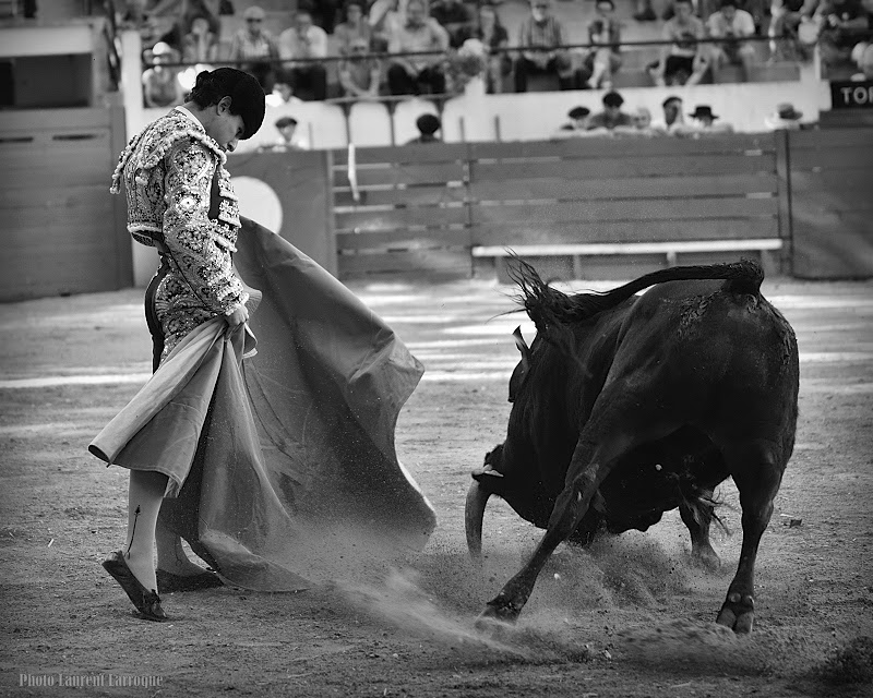 PhOtAuRiNeS Plaisance du Gers Novillada sans picador