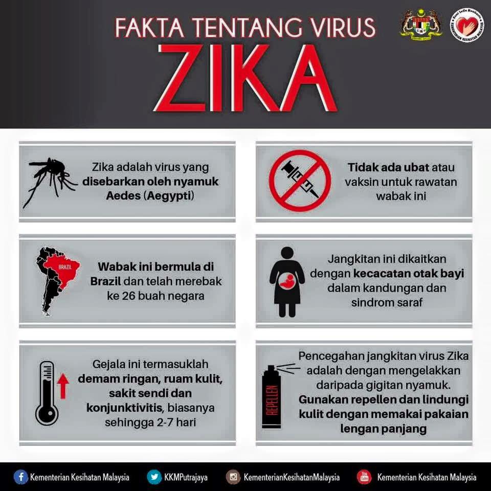 Apa Itu Virus Zika ? Arnamee blogspot