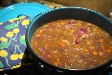 Lentil Barley Red Cabbage Soup
