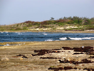 Playa Caltones, Gibara