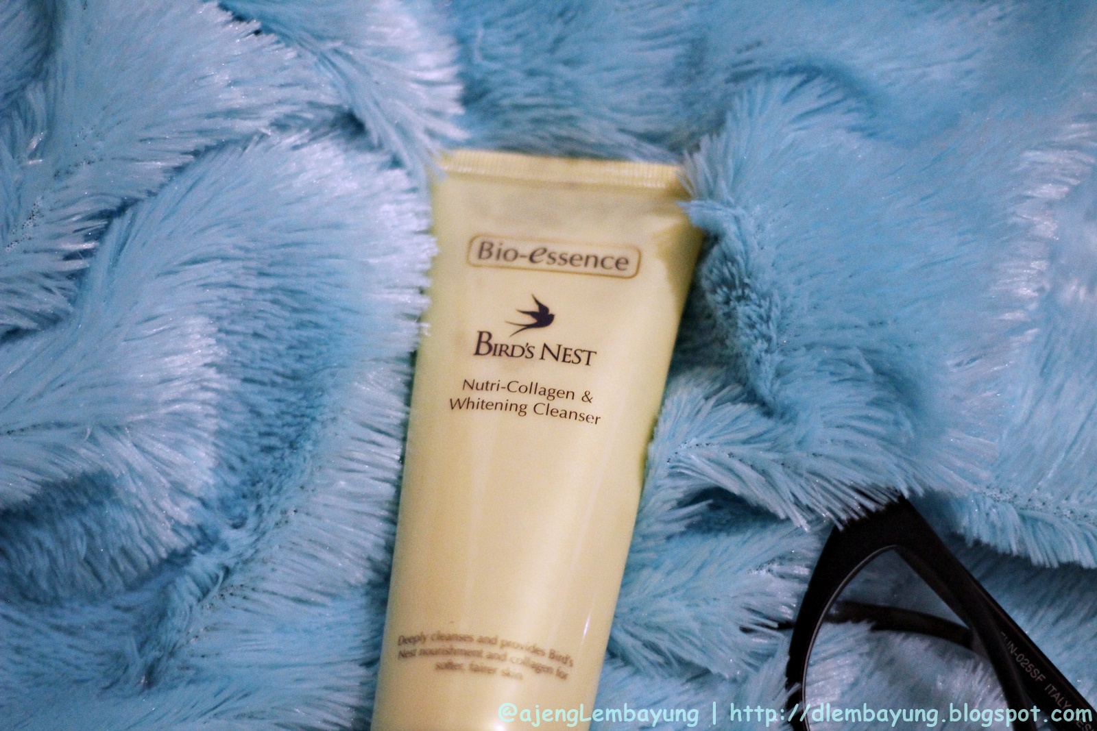 Rainbow After The Rain [Review] BioEssence Bird's Nest Foam Cleanser