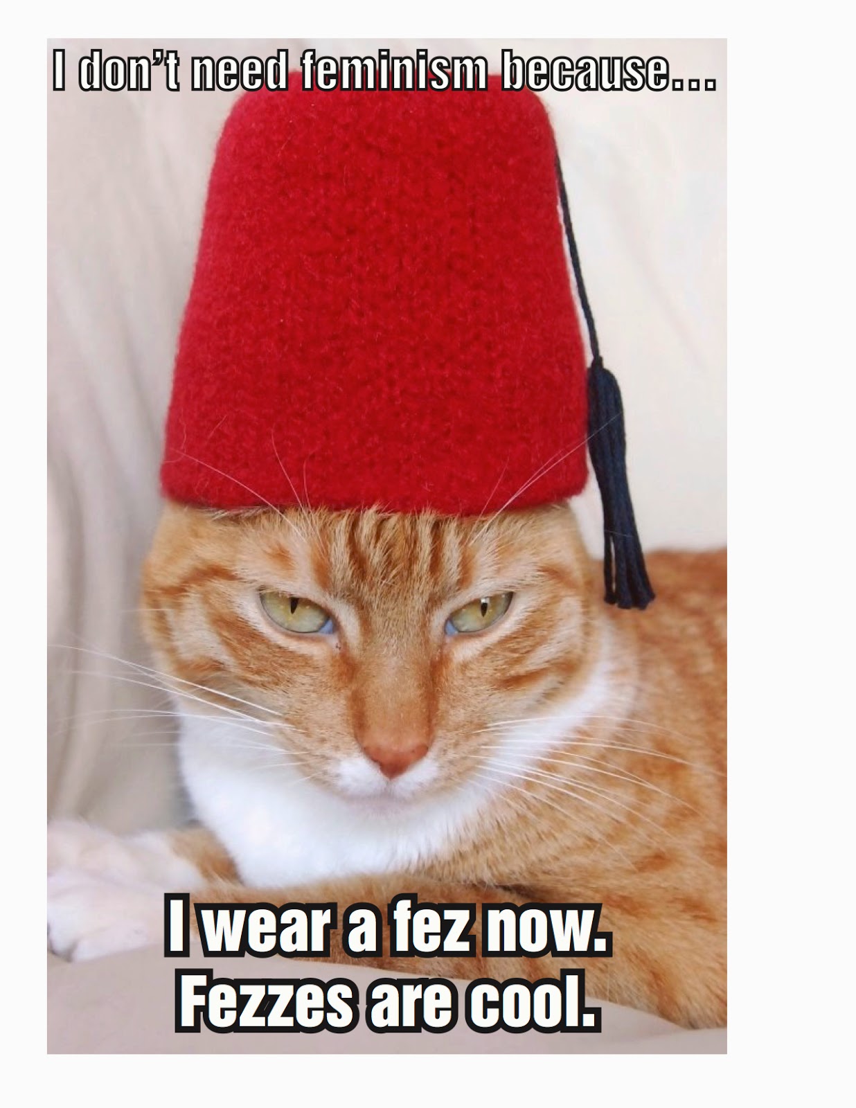 Рыжий кот в шапке. Кот в шапочке. Кот в шапке. Няшные котики. Рыжий кот.