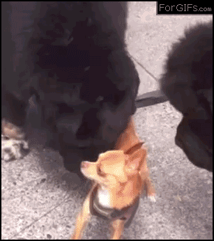 Emo girl fingering gif join. was Opinion the Emo girl fingering gif think, that