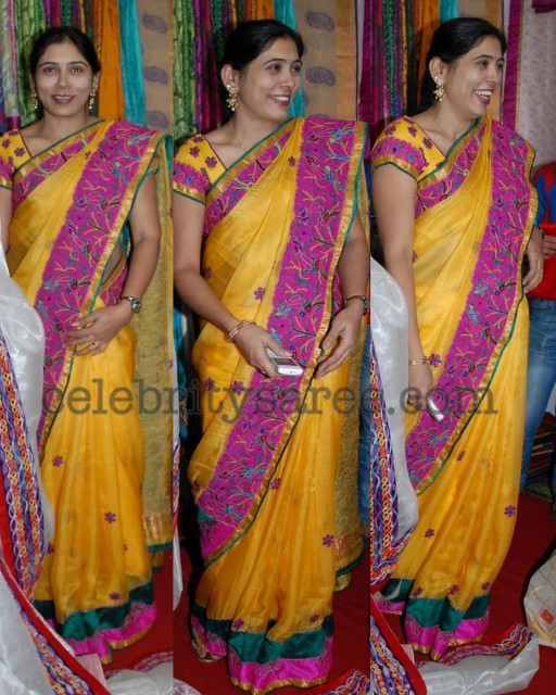 Pavani Reddy in Party Wear Saree - Saree Blouse Patterns