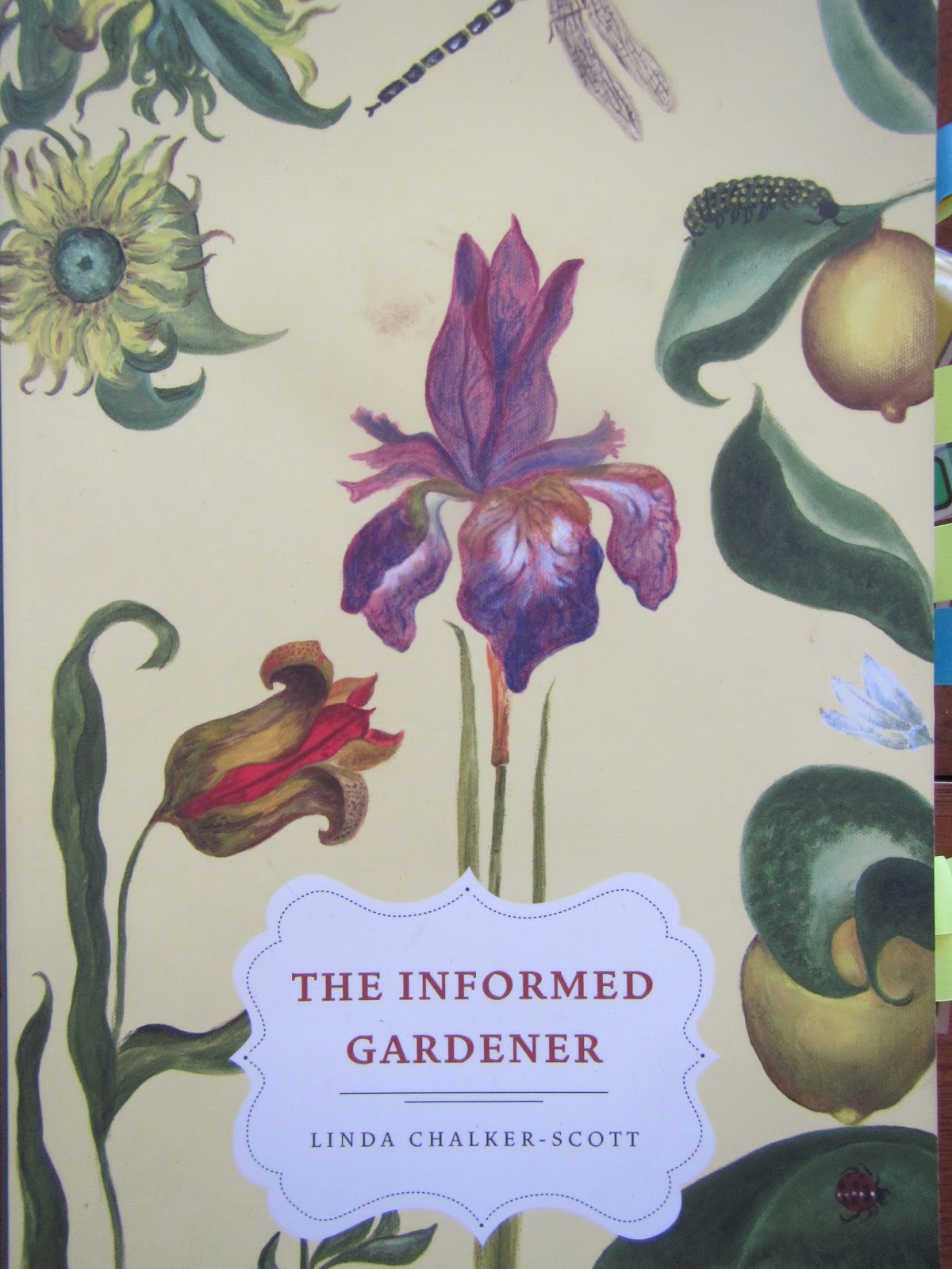 HOW PLANTS WORK The science behind the amazing things plants do (2015