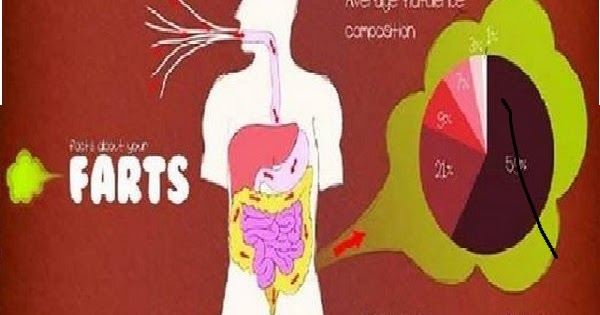 12 Facts About Farting You Probably Didn’t Know...