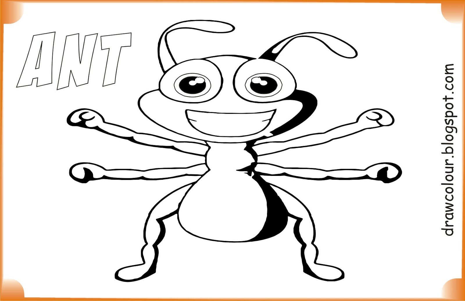Printable Pictures Of Ants 6