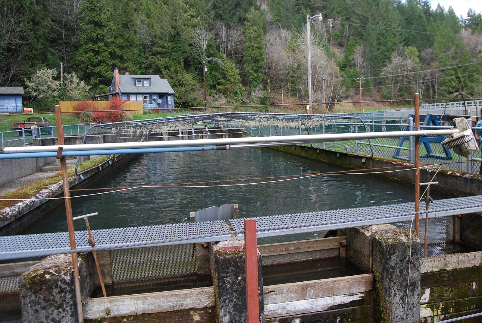 Wilamar Farm Rock Creek Fish Hatchery