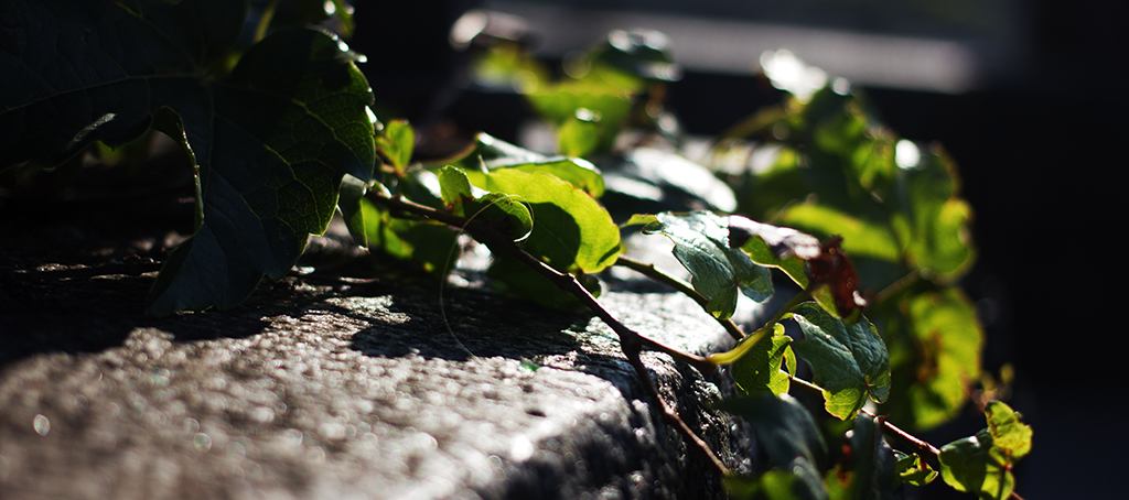 Guten Tag Ich Will Mein Leben Zuruck Heldenhafte Wundersachen