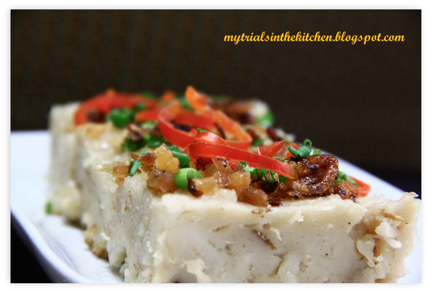 My Trials in the Kitchen Chinese Radish Cake