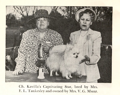 Retro Dog Show photo