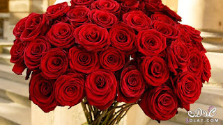 fleurs d'amour fleurs d'amour