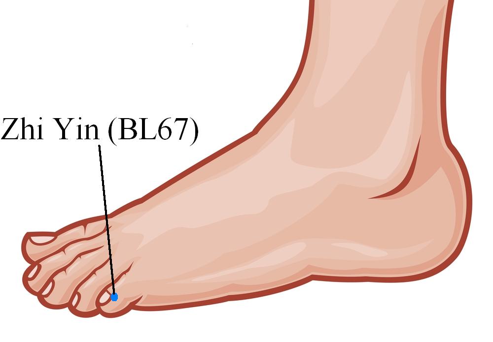 Gathered Roots Community Acupuncture New Westminster BLOG How to use Moxibustion Sticks to