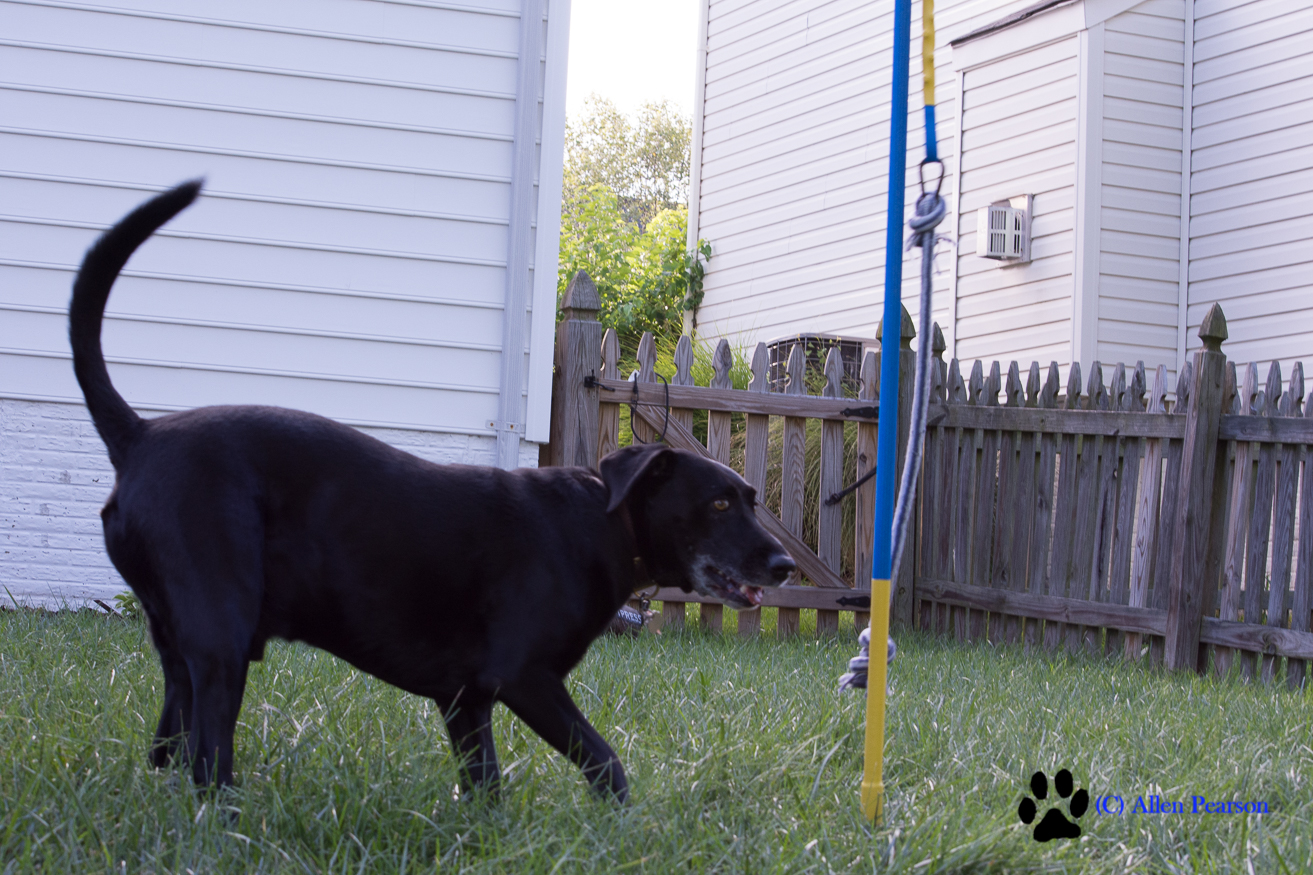 tether tug installation
