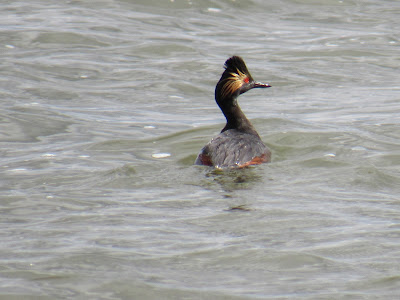 Tule Lake National Wildlife Refuge