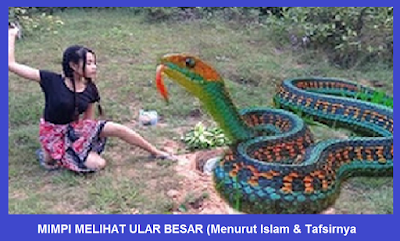 Mimpi Melihat Ular Besar Menurut Islam Tafsirnya Pertanda Mimpi