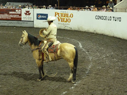 A Charro (Mexican Cowboy)