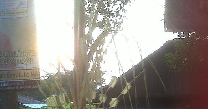 Tren Gaya 25 Tulisan Di Janur Kuning Pernikahan