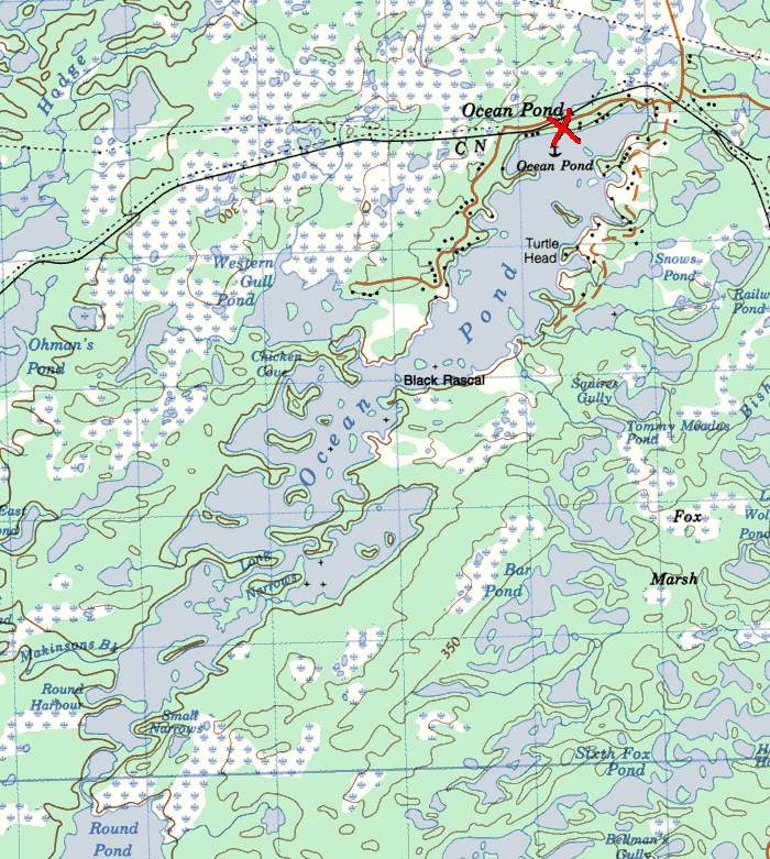 Newfoundland Sea Kayaking Ocean Pond