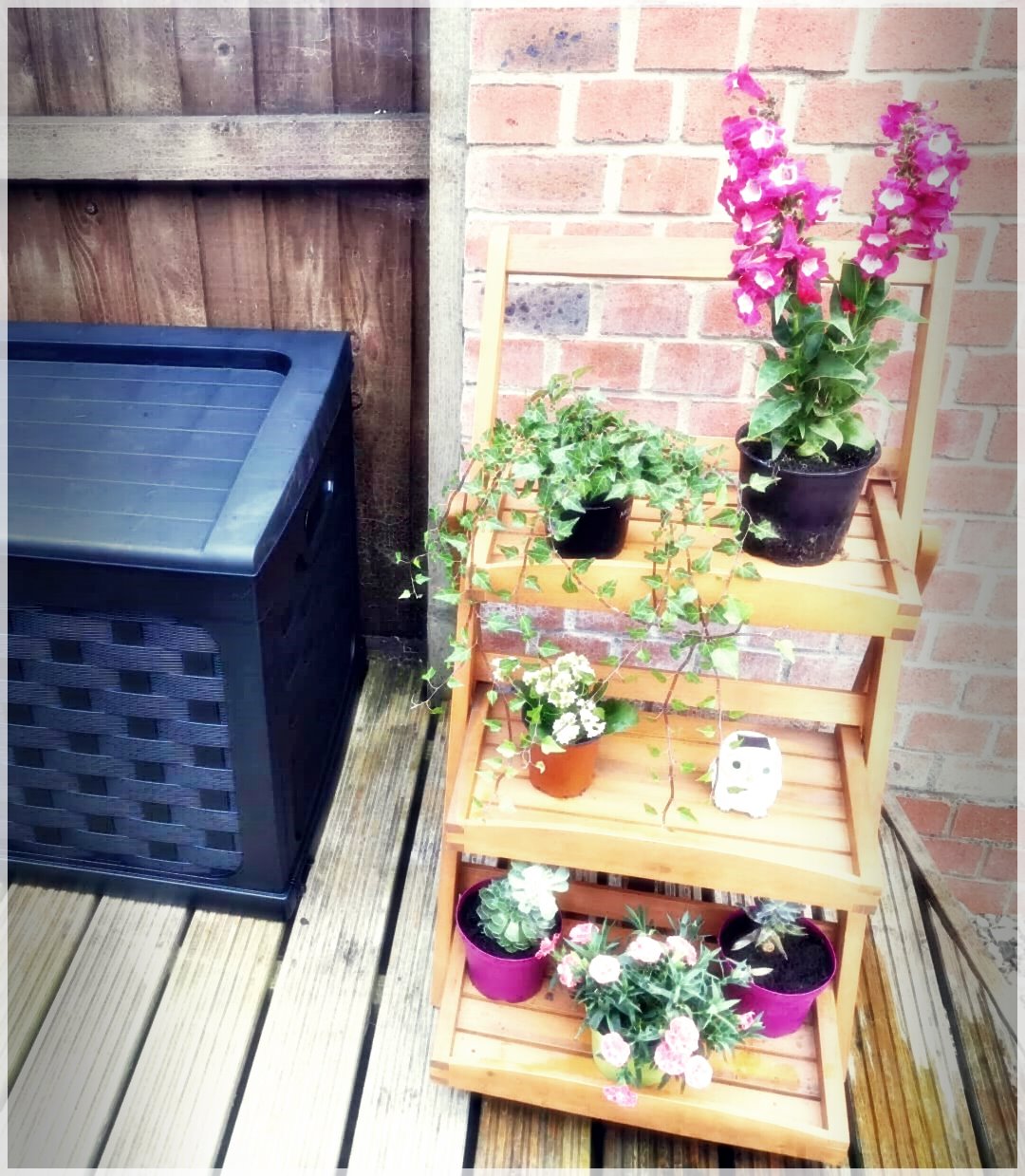 SmallHouseDesing-18574822230