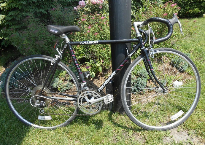 raleigh bike computer