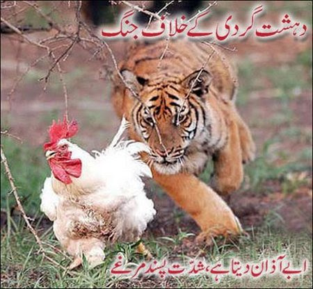 Zardari funny pics