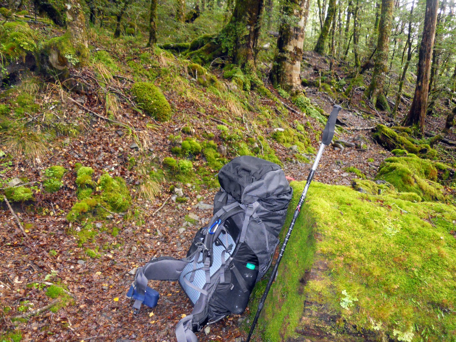 Tramping in the New Zealand backcountry NZ Bush Adventures What gear