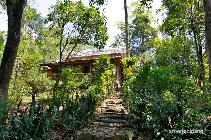 kawah hitam gunung pancar bogor