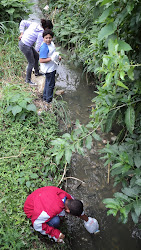 Monitoramento do rio das Pedras