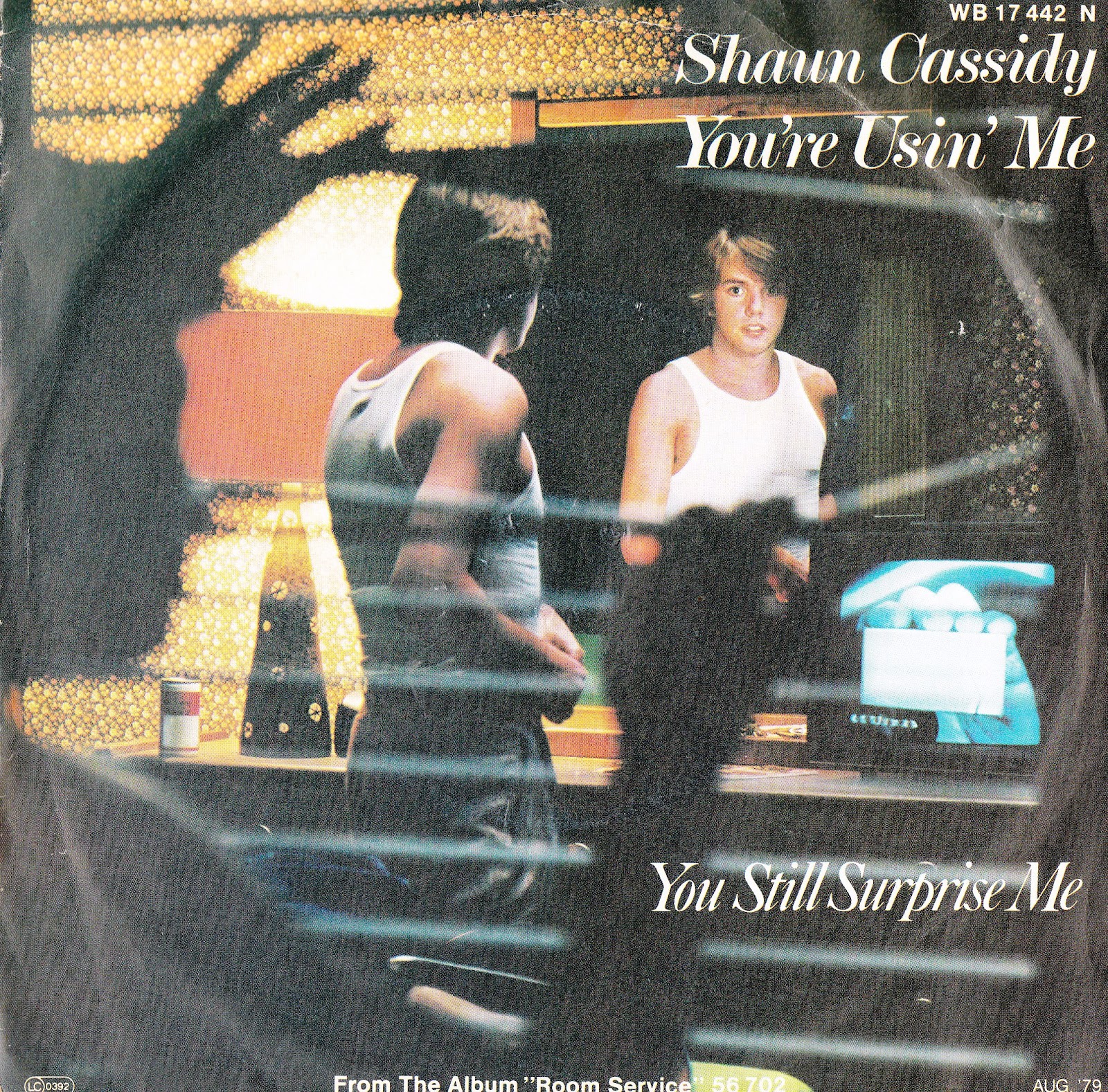 '70s Teenpop Shaun Cassidyon Record.