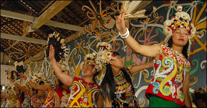 Tarian Khas Kalimantan Suku Dayak