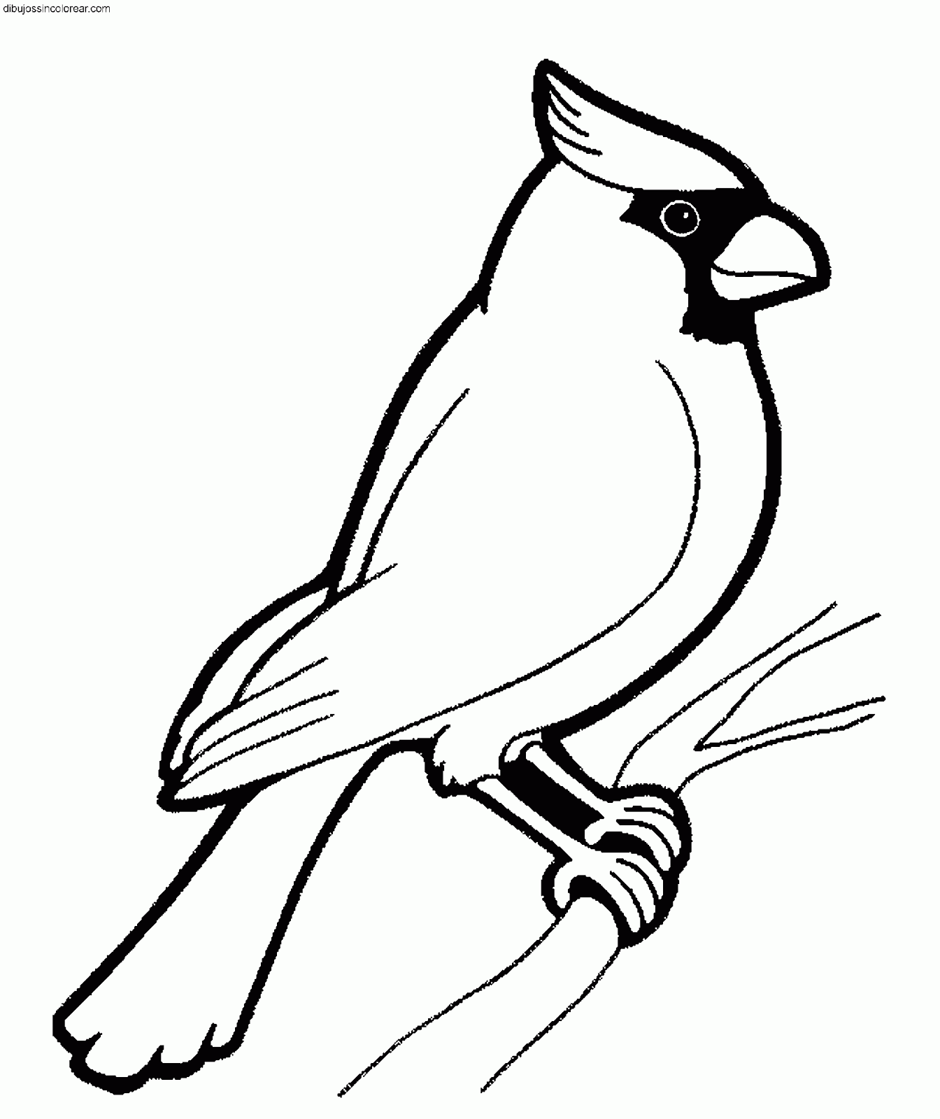 ohio state bird coloring pages - photo #29