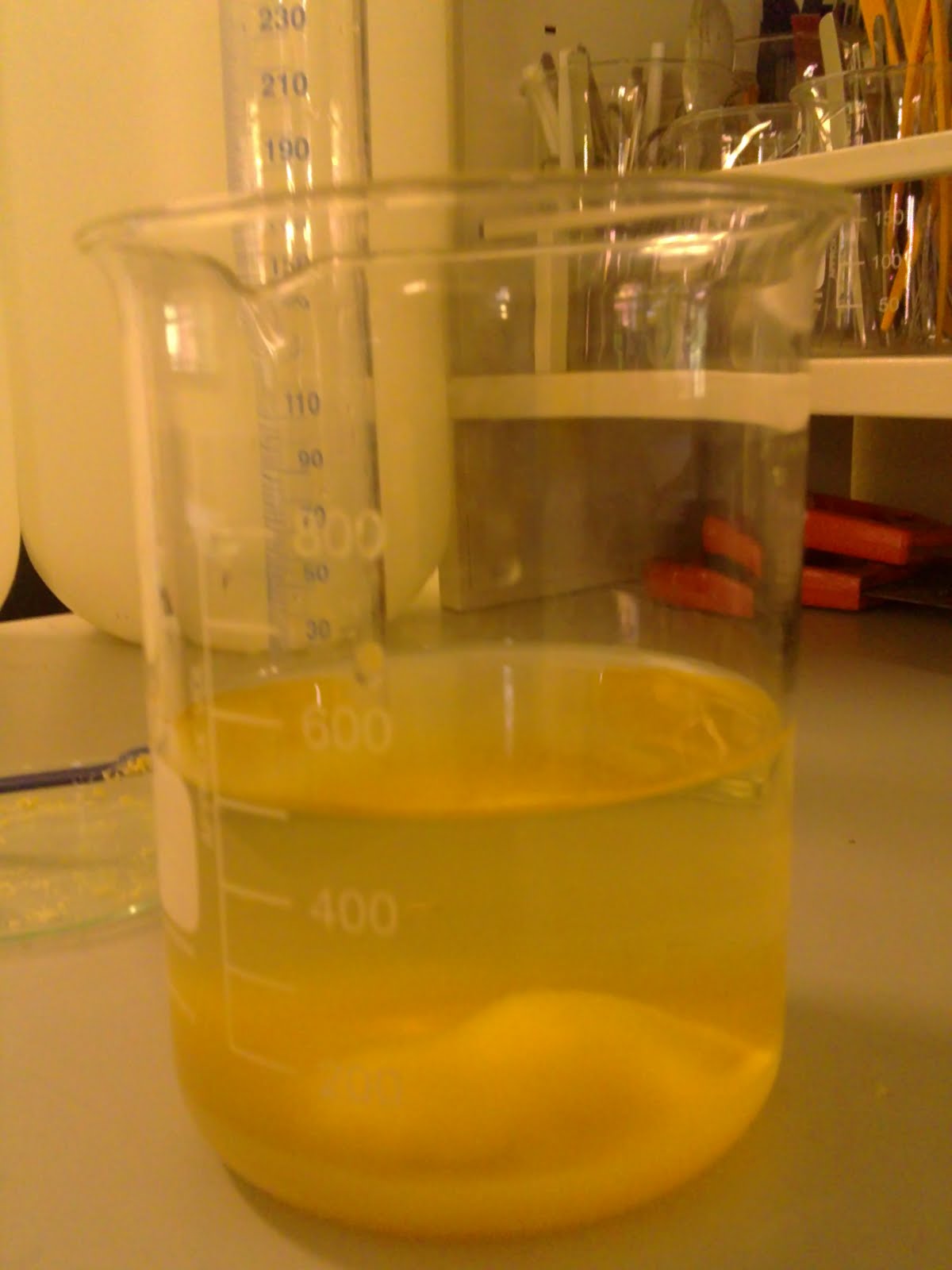 world of science Nutrient Agar Preparation