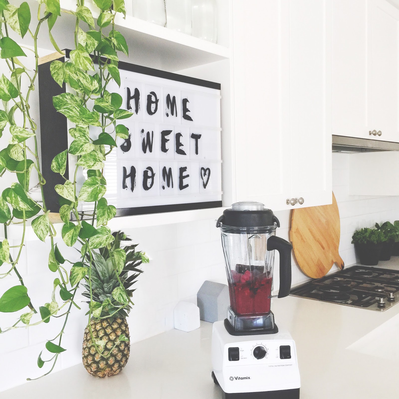 honey and fizz The latest additon to my kitchen Vitamix Total