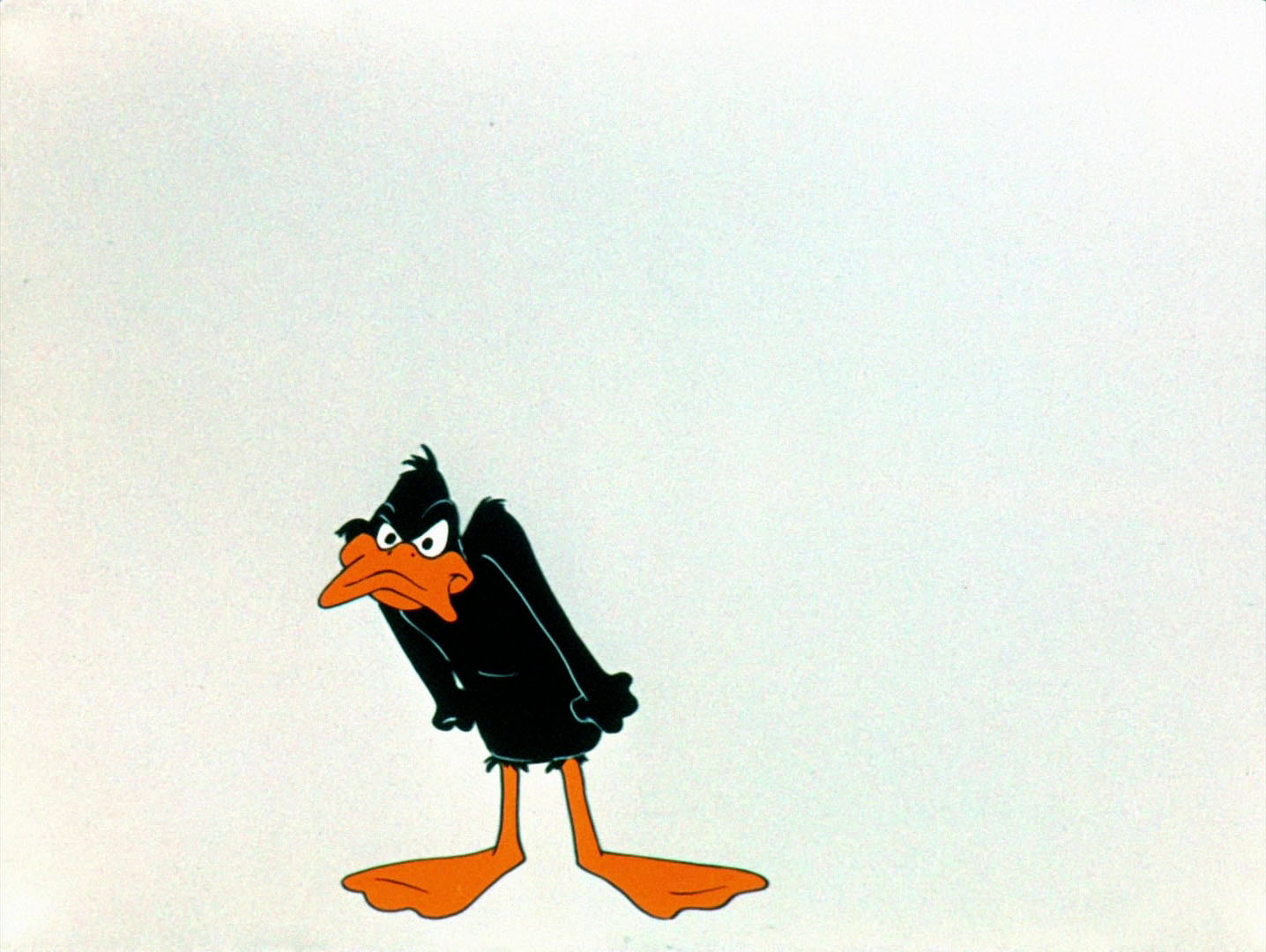 Angry daffy duck gif