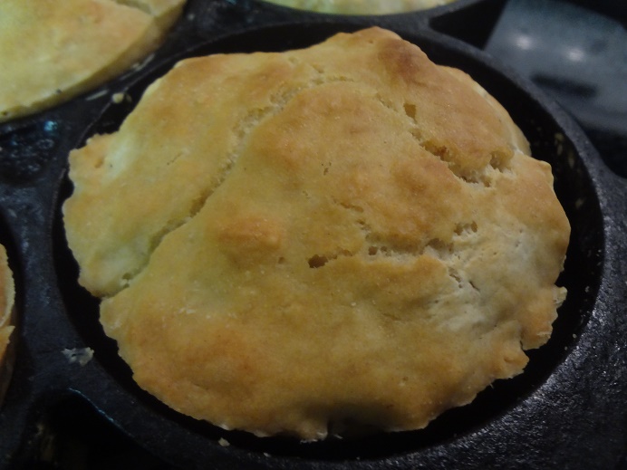 ...Two Ingredient Vegan Biscuits...and the vegan browning secret
