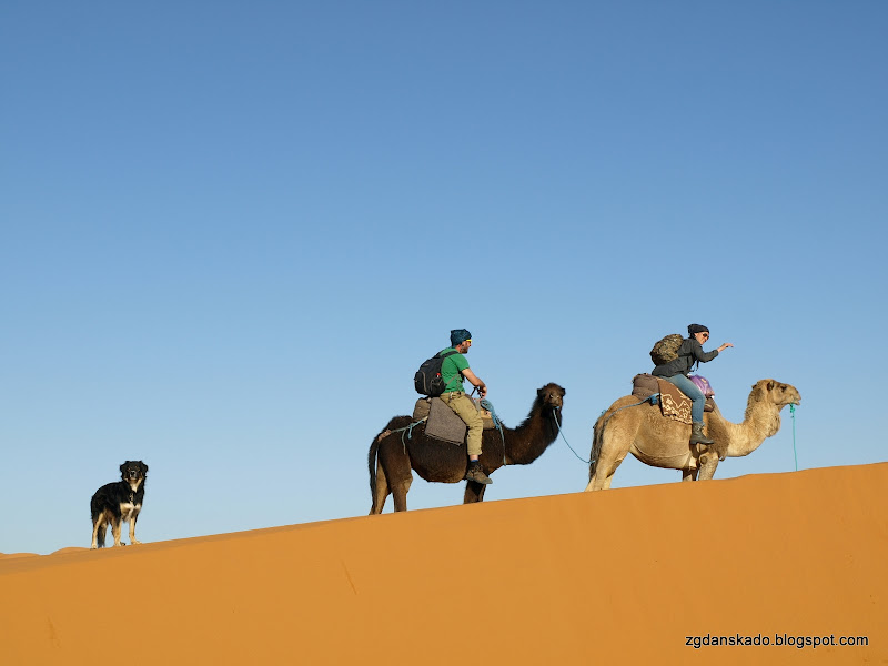 Erg Chebbi