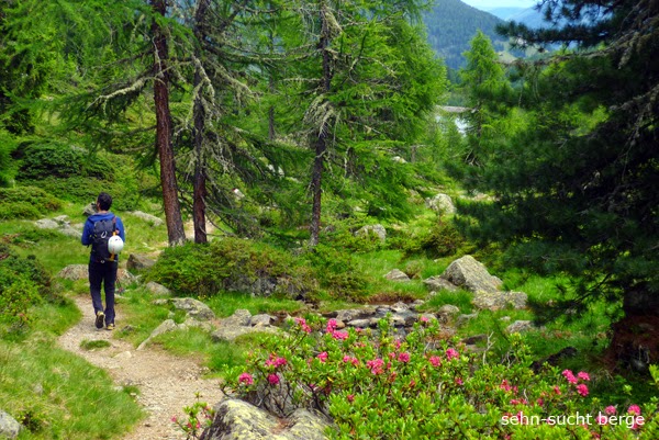Hintere Eggenspitze, 3443 m