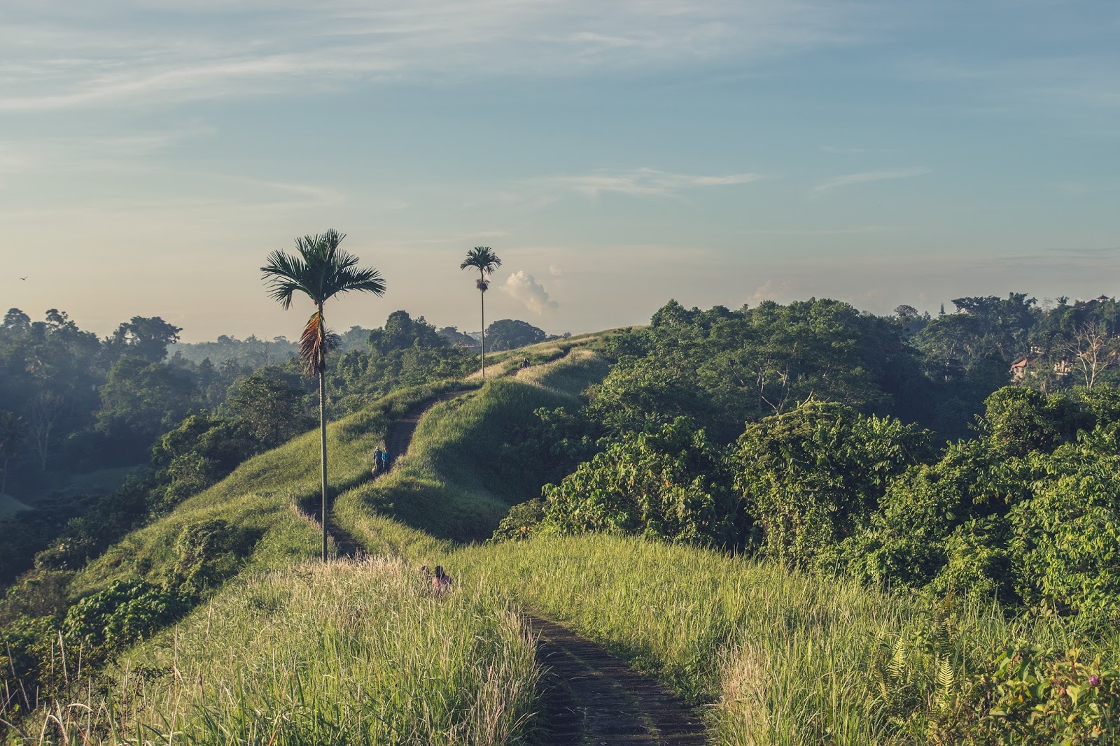 Heading over to Bali for the first time? Here is everything you need to know for a stress free, budget friendly holiday!