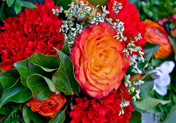 flower rose wallpapers arrangement ros gift pictuer desktop xze fine different delights pressed