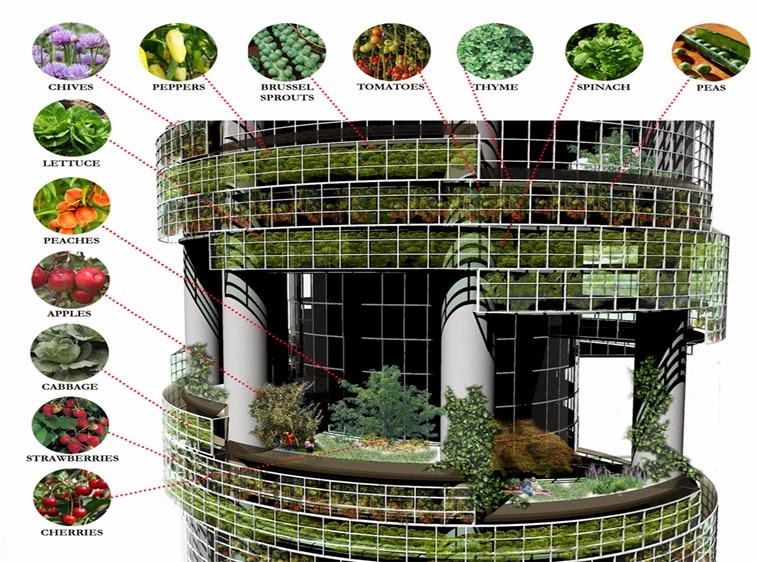 The LowCost Innovation of Vertical Farming