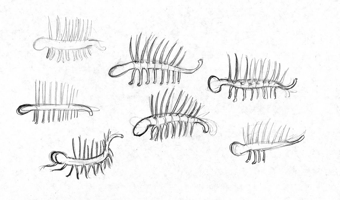 Jinx the Monkey Drip! Hallucigenia of the Cambrian