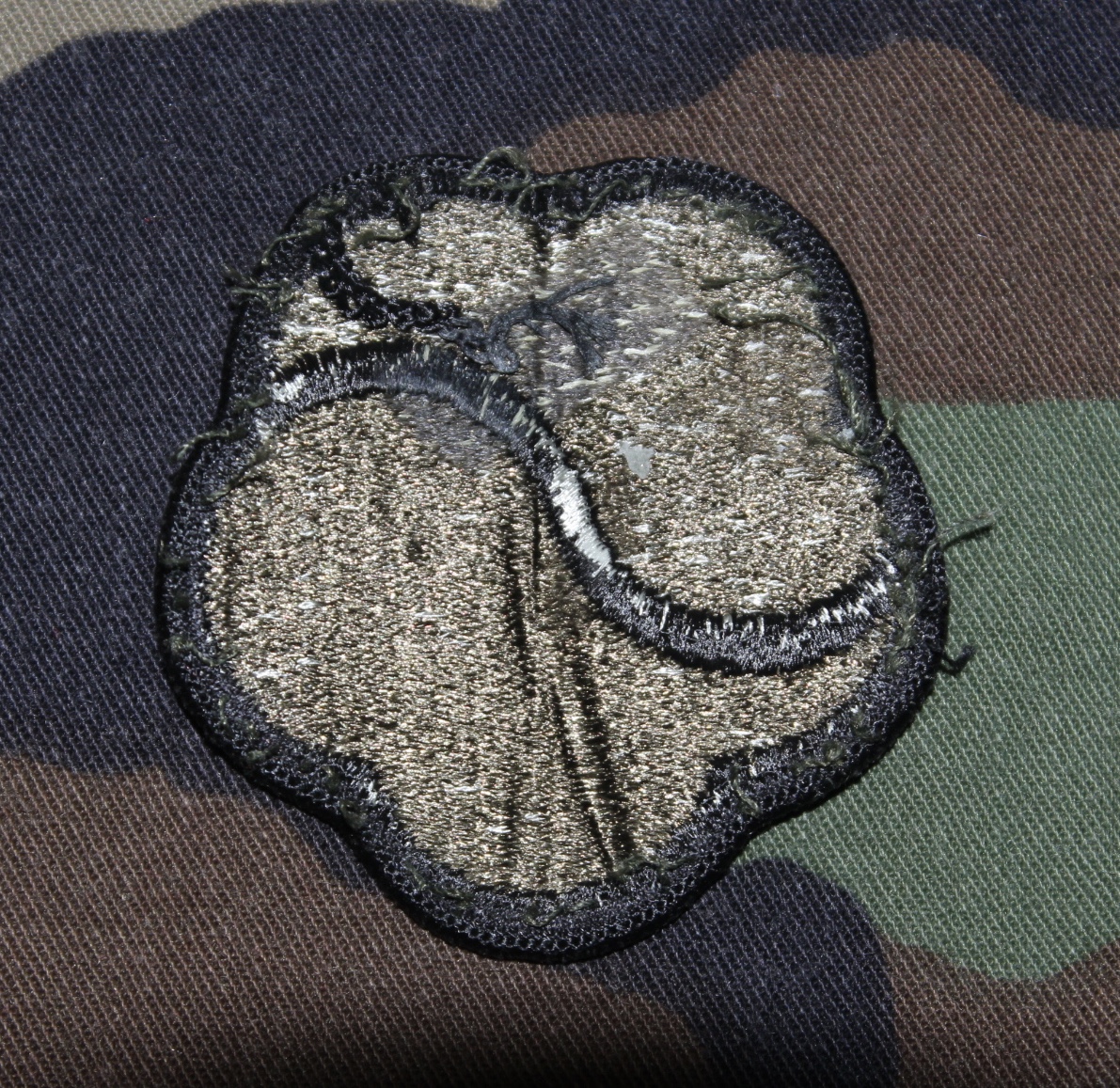 แพทช์(Patch)และอาร์ม US. Army 19th Theater Support Command Subdued Unit ...