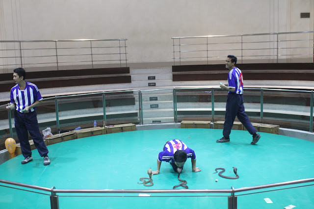 Màn hôn rắn xem khá hồi hộp